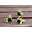 Grodprins